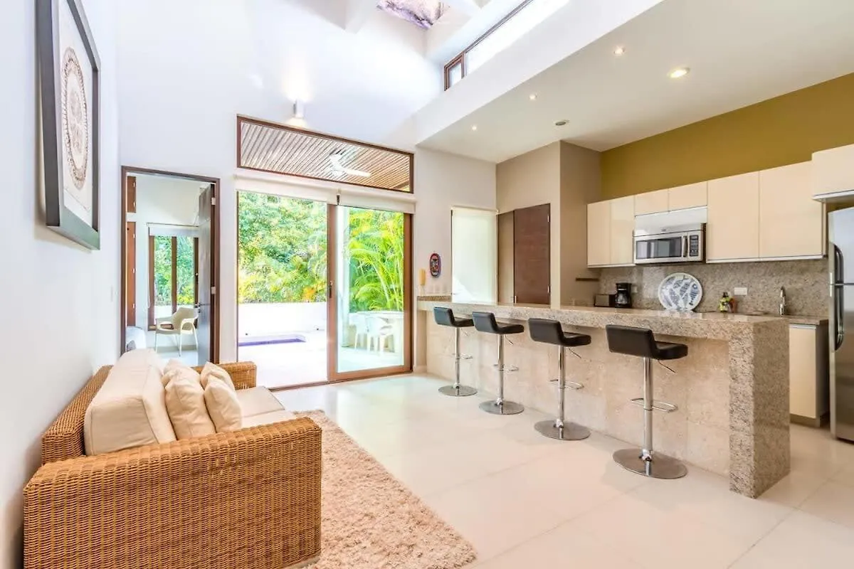 Private Terrace With Plunge Pool L Sat Tv L Beach Access Villa Akumal